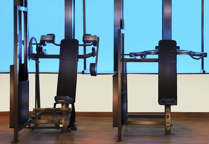 Imagen de los interiores del Hotel Mercure Cairo Le Sphinx. Foto 7