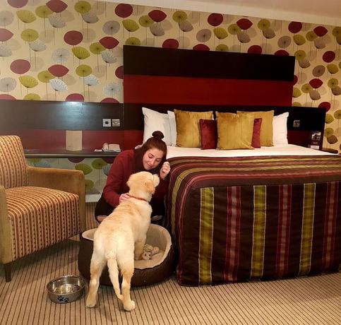 Imagen de la habitación del Hotel Mercure Chester Abbots Well. Foto 15