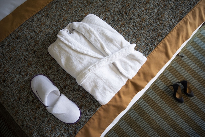 Imagen de la habitación del Hotel Mercure Lille Aeroport. Foto 7