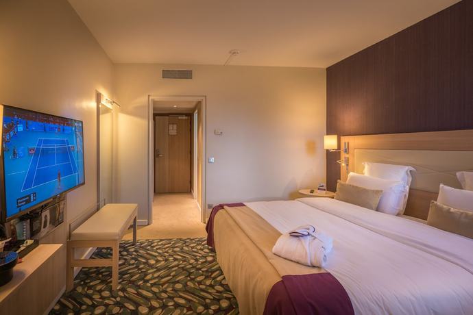 Imagen de la habitación del Hotel Mercure Mulhouse Centre. Foto 5