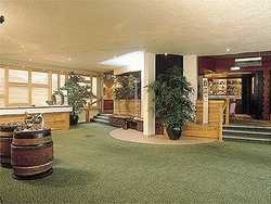 Imagen general del Hotel Mercure Mulhouse Sausheim. Foto 1