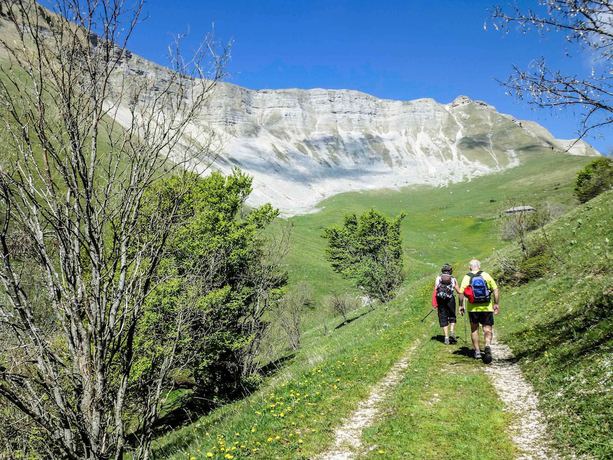 Imagen general del Hotel Mercure Rodez Cathédrale & Mercure Résidence. Foto 2