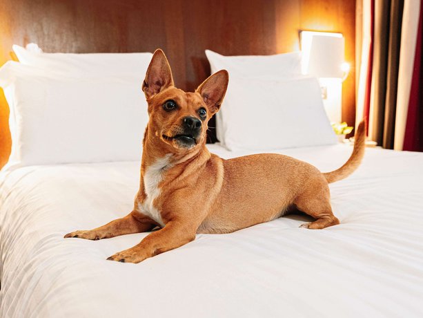 Imagen de la habitación del Hotel Mercure Roma Piazza Bologna. Foto 19