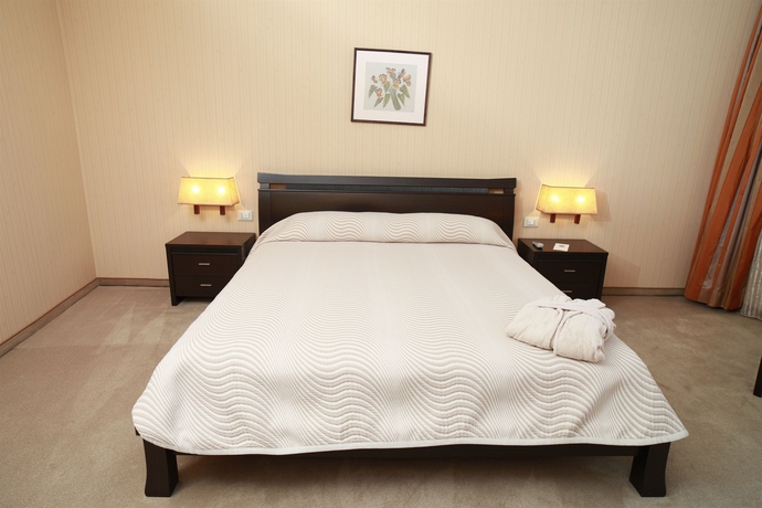 Imagen de la habitación del Hotel Mercure Sofia City. Foto 6