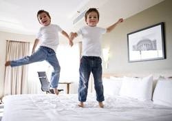 Imagen general del Hotel Mercure Sydney, Sydney. Foto 6