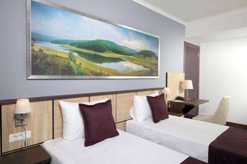 Imagen de la habitación del Hotel Mercure Tetovo. Foto 3