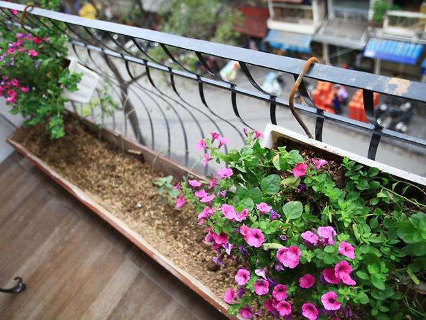 Imagen de la habitación del Hotel Mercury Central Hanoi. Foto 6