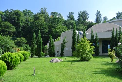 Imagen de la piscina del Hotel Mercury Resort. Foto 6