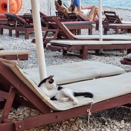 Imagen general del Hotel Mercury Saranda. Foto 14