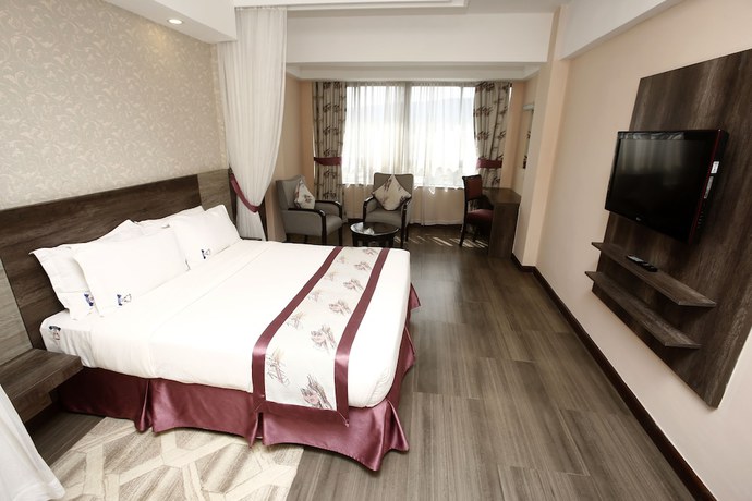 Imagen de la habitación del Hotel Merica. Foto 13