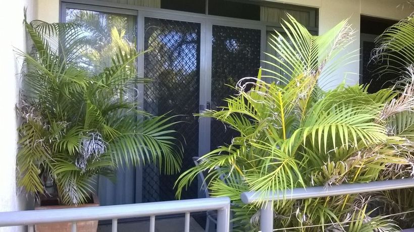 Imagen de la habitación del Hotel Meridian Alex Beach Apartments. Foto 7