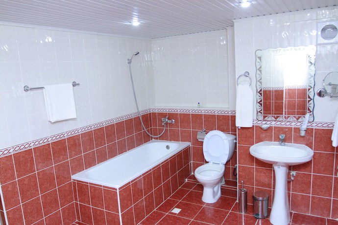 Imagen de la habitación del Hotel Meridian, Termez. Foto 12