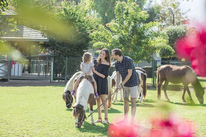 Imagen general del Hotel Merit Crystal Cove. Foto 5