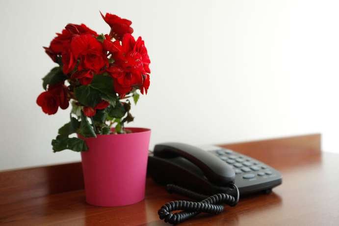 Imagen de la habitación del Hotel Merlot, Podgradina. Foto 3