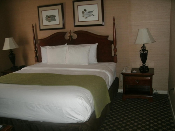 Imagen de la habitación del Hotel Merry Acres Inn. Foto 13