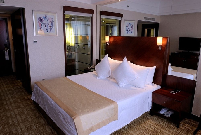 Imagen de la habitación del Hotel Merry Shanghai. Foto 6