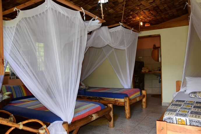 Imagen de la habitación del Hotel Meru View Lodge. Foto 12