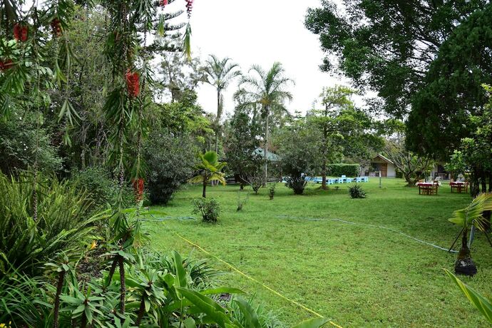 Imagen general del Hotel Meru View Lodge. Foto 9