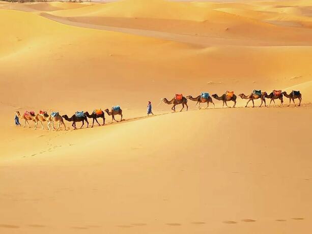 Imagen general del Hotel Merzouga Exotic Luxury Camp Is The Best Location. Foto 5