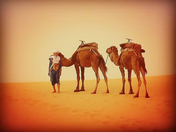 Imagen general del Hotel Merzouga Exotic Luxury Camp Is The Best Location. Foto 6