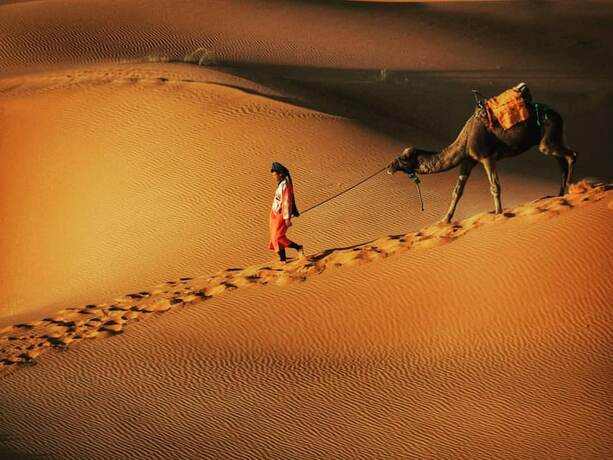 Imagen general del Hotel Merzouga Exotic Luxury Camp Is The Best Location. Foto 7