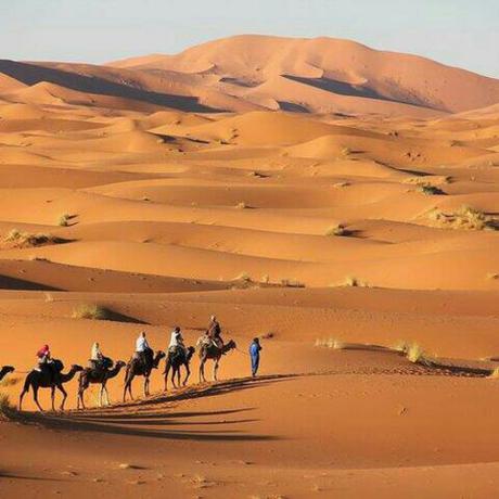 Imagen general del Hotel Merzouga Luxury Glamping. Foto 4
