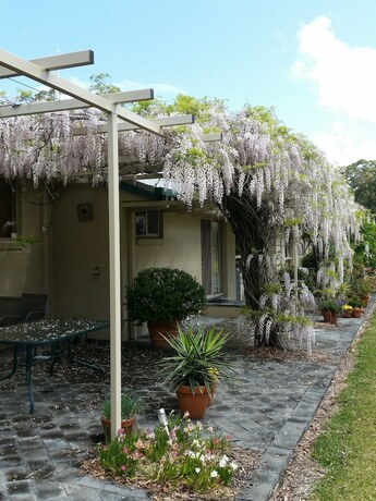 Imagen general del Hotel Mescal's at Pampoolah B&B. Foto 11