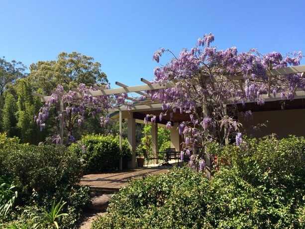 Imagen de los exteriores del Hotel Mescal's at Pampoolah B&B. Foto 36