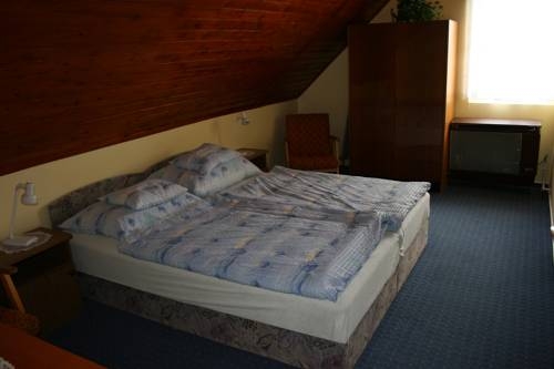 Imagen general del Hotel Mese Panzi&oacute; Zalakaros. Foto 9
