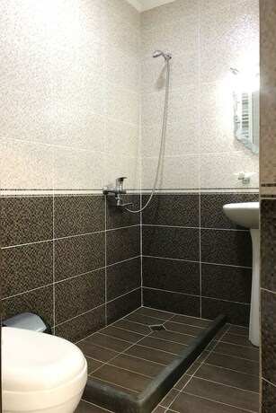 Imagen general del Hotel Meskheti Palace. Foto 4
