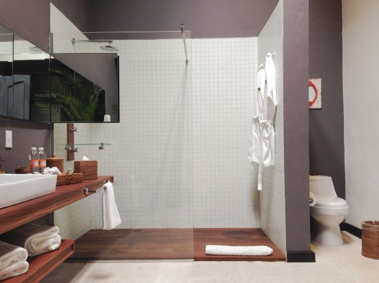 Imagen general del Hotel Mesón De Santa Rosa Luxury. Foto 9