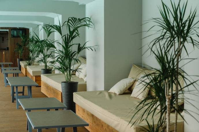 Imagen de la piscina del Hotel Meta Business. Foto 17