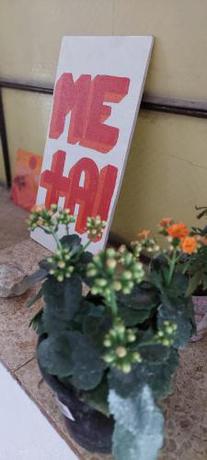 Imagen de la habitación del Hotel Meta! House mi casa es tu casa. Foto 12