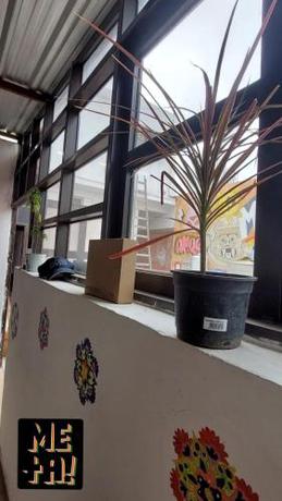 Imagen de la habitación del Hotel Meta! House mi casa es tu casa. Foto 14