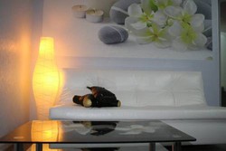 Imagen general del Hotel Metelitsa Hotel. Foto 3