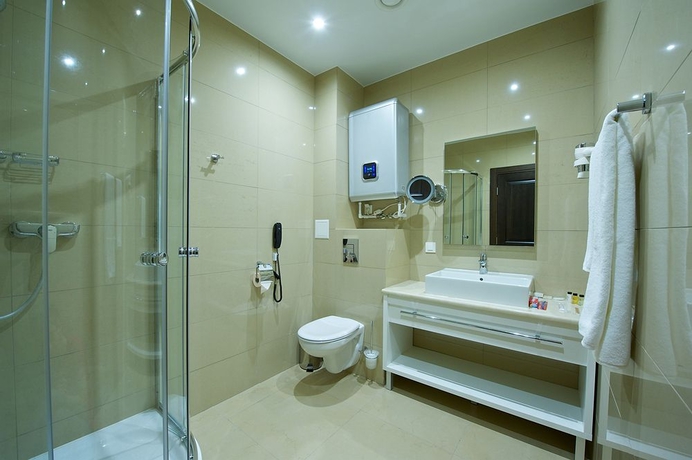 Imagen de la habitación del Hotel Metelitsa, NOVOSIBIRSK. Foto 8