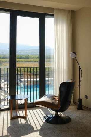 Imagen de los interiores del Hotel Meteo Kakheti. Foto 12