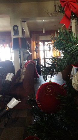 Imagen del bar/restaurante del Hotel Metoxi. Foto 6