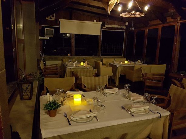 Imagen del bar/restaurante del Hotel Metoxi. Foto 7