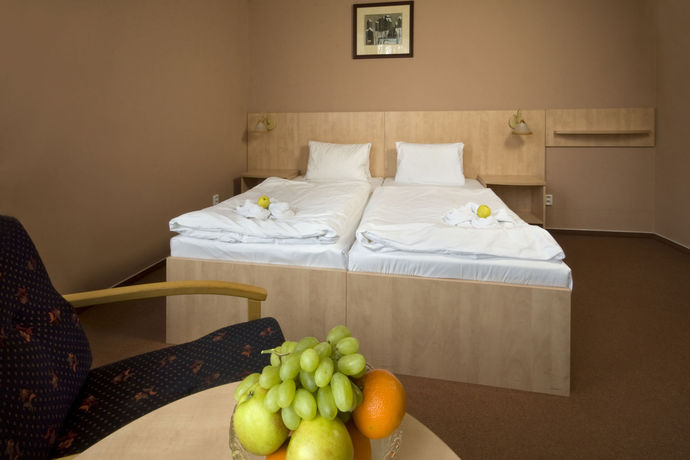 Imagen de la habitación del Hotel Metropol Spa, Frantiskovy Lazne. Foto 14