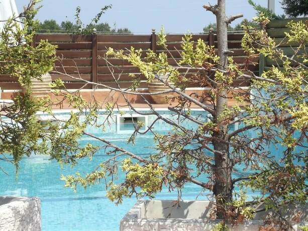 Imagen general del Hotel Metropole, Leptokaria. Foto 8