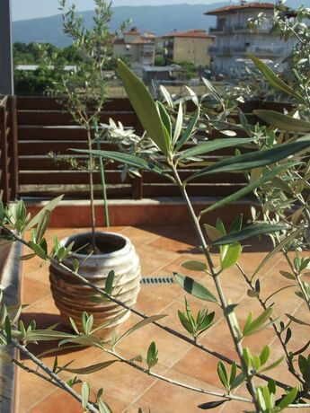 Imagen general del Hotel Metropole, Leptokaria. Foto 11