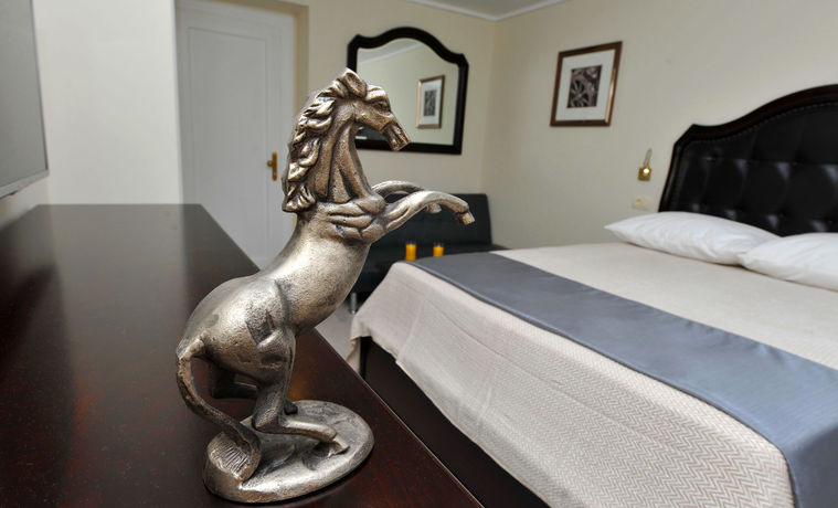 Imagen de la habitación del Hotel Metropole Luxury Rooms. Foto 14