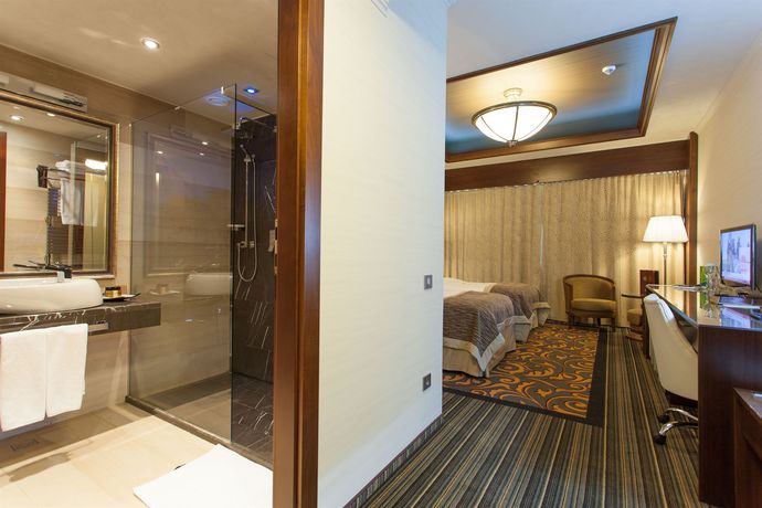 Imagen de la habitación del Hotel Metropolis, Bistrita. Foto 4