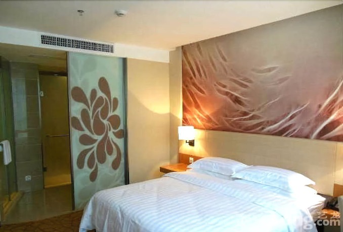 Imagen de la habitación del Hotel Metropolo Nangchang Honggutan Wanda Square. Foto 13
