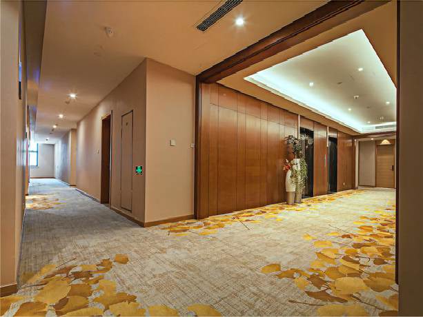 Imagen de los interiores del Hotel Metropolo Nanjing South Railway Station. Foto 14