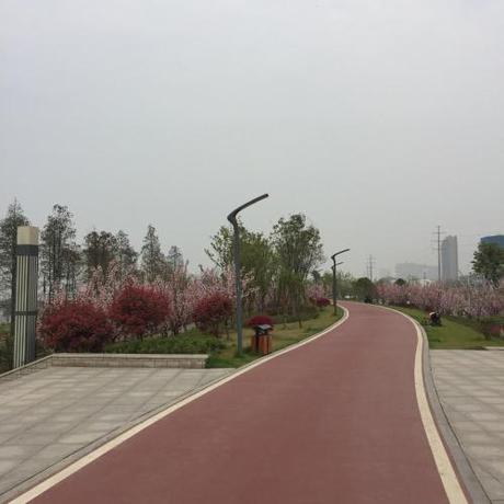 Imagen general del Hotel Metropolo, Wuhan, Wanda Residence, Riverside Avenu. Foto 5