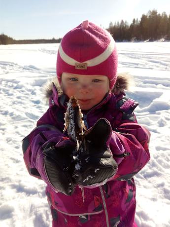 Imagen general del Hotel Metsähirvas. Foto 2