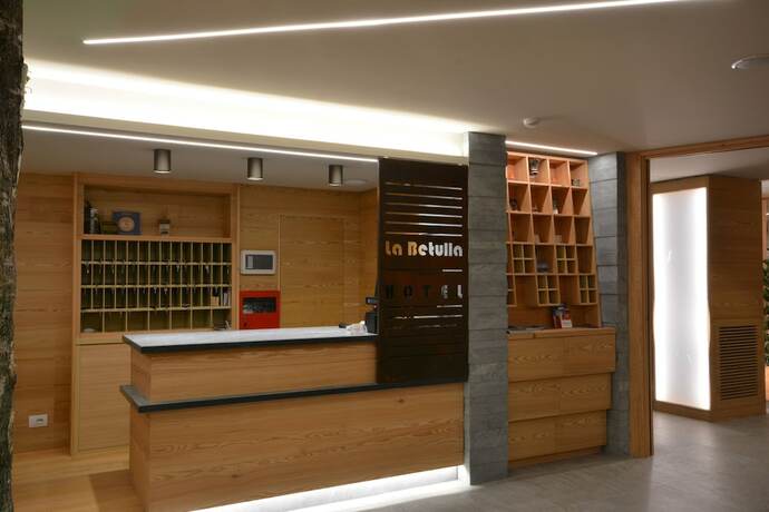 Imagen general del Hotel Meublè La Betulla. Foto 4