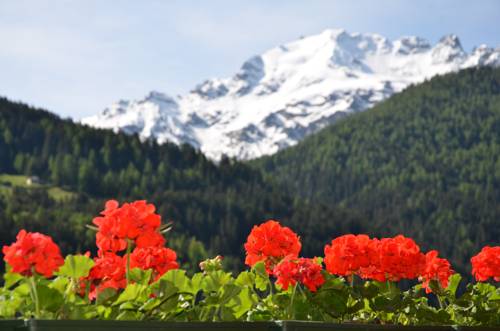 Imagen de la habitación del Hotel Meubl&egrave; Rosalpina. Foto 14